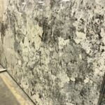 quartzite-vintage-slab-2